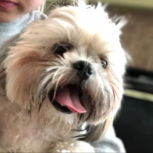 Meet your Posher, Hannah